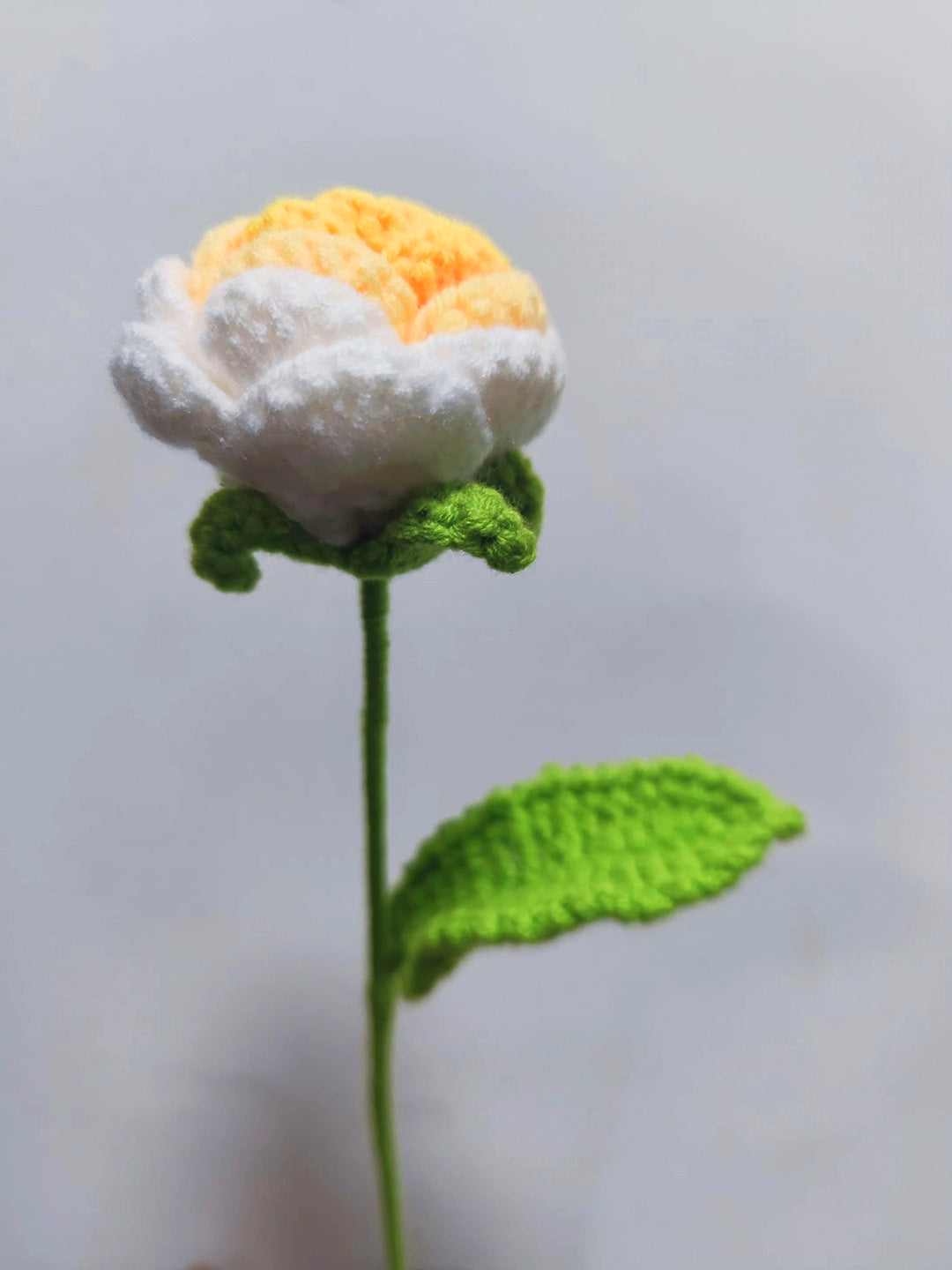 DESTINY Knitted-Rose™