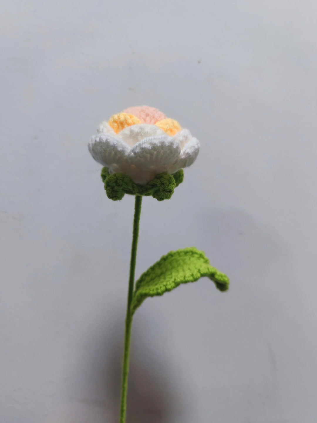 DESTINY Knitted-Rose™